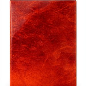 Shakespeare Kindle Edition Grapevine 157 Page-0